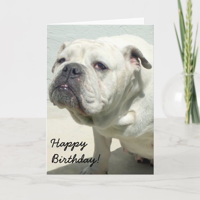 Bonne carte de voeux pour l'anniversaire White Bul (Devant)