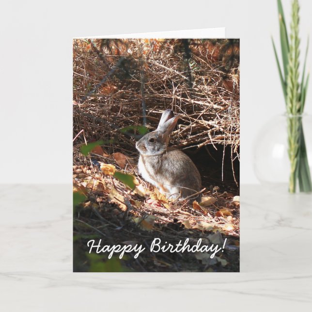 Bonne carte de voeux pour lapin d'anniversaire (Devant)