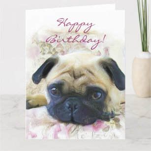 Cartes Carlin D Anniversaire Zazzle Fr