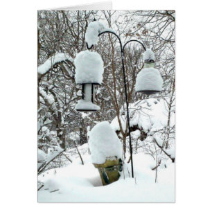 Bonne carte d'Humour du premier jour du printemps 