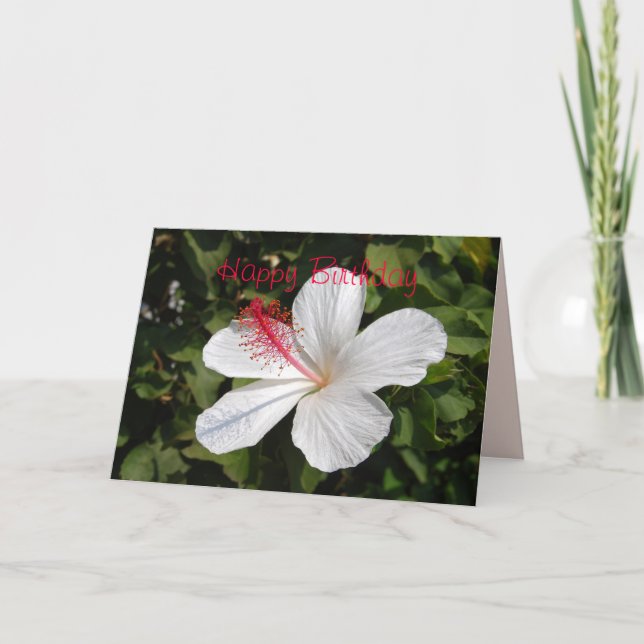 Bonne carte Hibiscus blanc anniversaire (Devant)