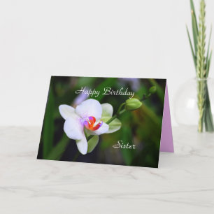 Bonne carte orchidée de Soeur Phalaenopsis