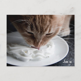 Bonne carte postale de chat