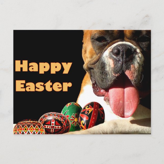 Bonne carte postale de chien de boîte de Pâques (Devant)