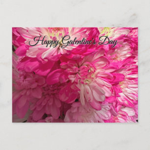Bonne carte postale de la Saint-Galentin rose