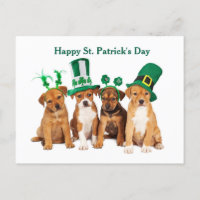 Bonne carte postale St. Patrick's Day Dogs