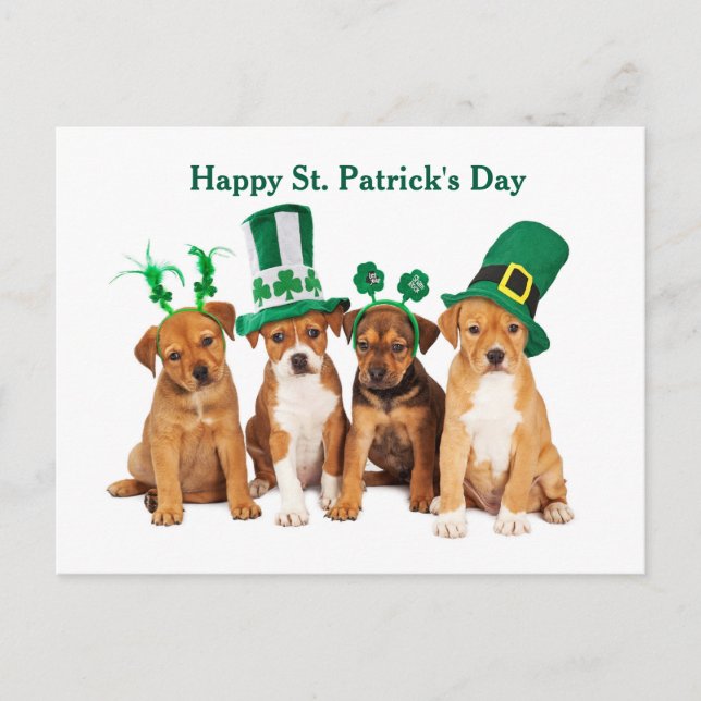 Bonne carte postale St. Patrick's Day Dogs (Devant)