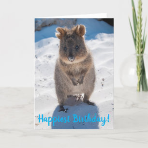 Bonne carte Quokka anniversaire le plus heureux