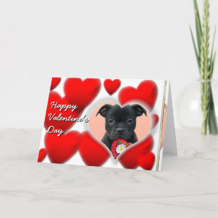 Bonne carte Valentine's Staffordshire Bull Terrier