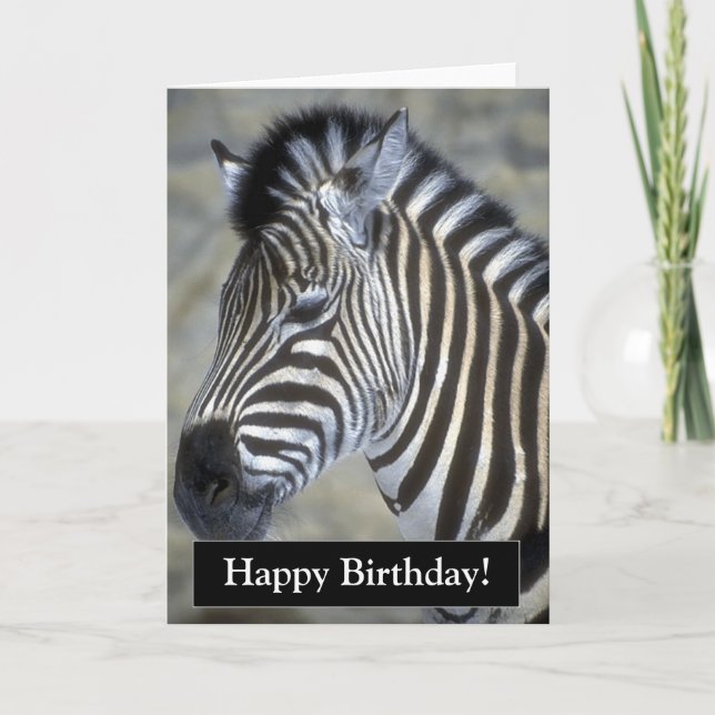 Bonne carte Zebra pour anniversaire (Devant)