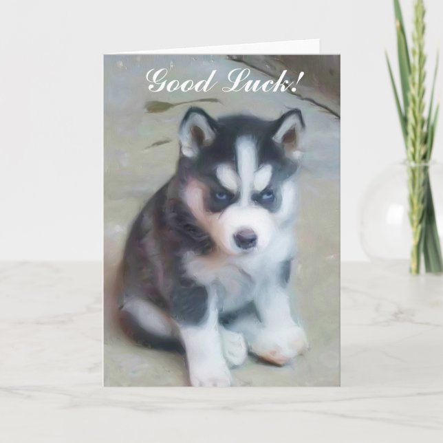 Bonne chance Siberian Husky Puppy carte (Devant)