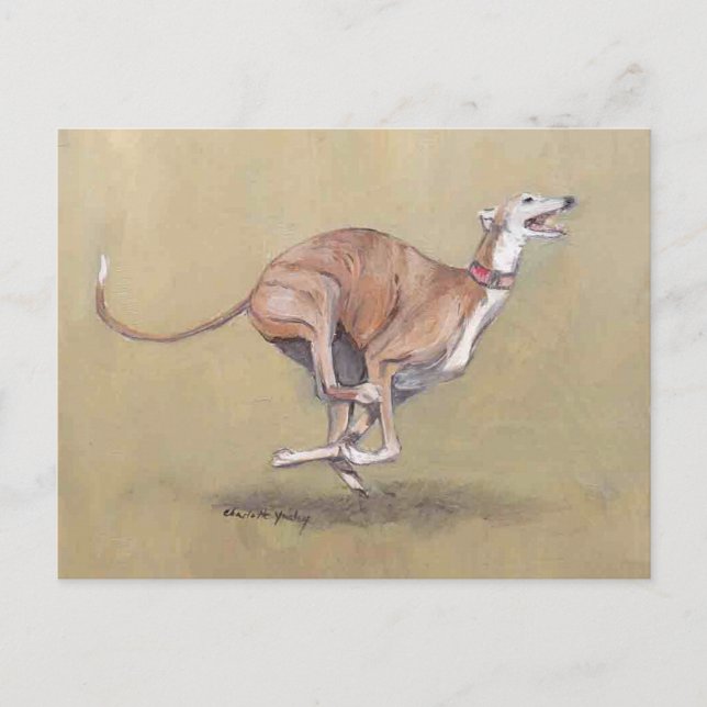 Bonne exécution Greyhound Dog Art Carte postale (Devant)