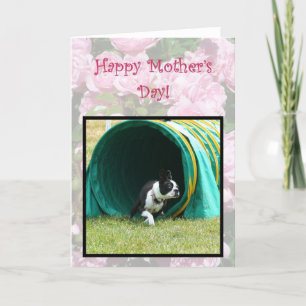Bonne fête des mères Agilité Boston Terrier carte