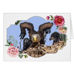 Bonne fête des mères, Aigles