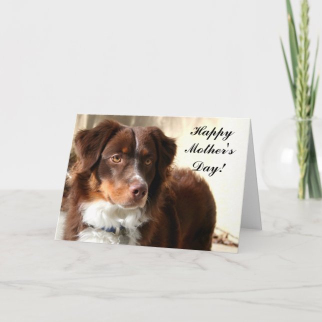 Bonne fête des mères Carte de voeux australienne (Devant)