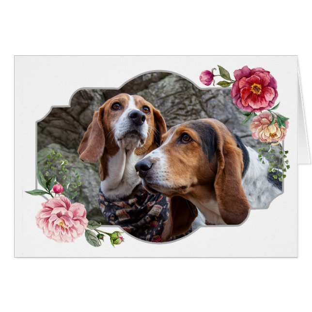 Bonne fête des mères, Chiens (Devant horizontal)