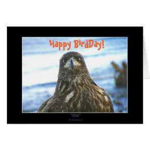 Bonne fête des oiseaux ! Carte de voeux Bald Eagle
