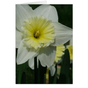 Bonne Fleur de la Fête des Mères