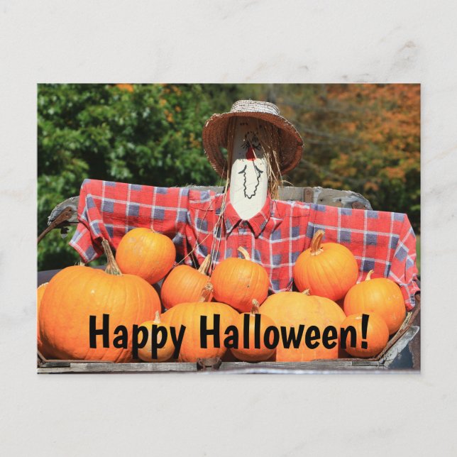 Bonne Halloween de la carte postale Citrouille Pat (Devant)