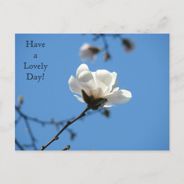 Bonne journée ! carte postale White Magnolia Sprin (Devant)