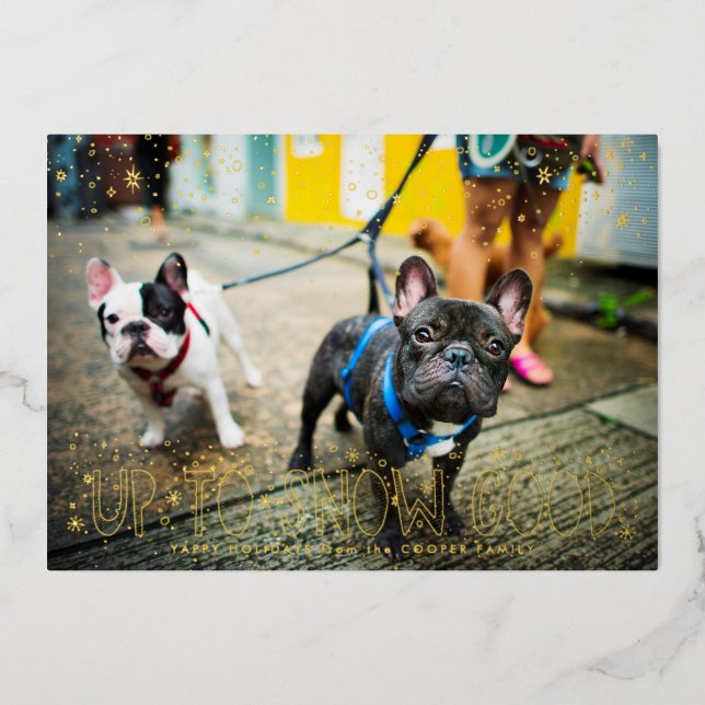 Bonne neige | Carte de vœux de vacances pour anima (Recto)