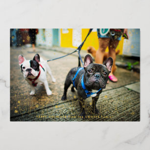 Bonne neige Carte photo de vacances pour animaux