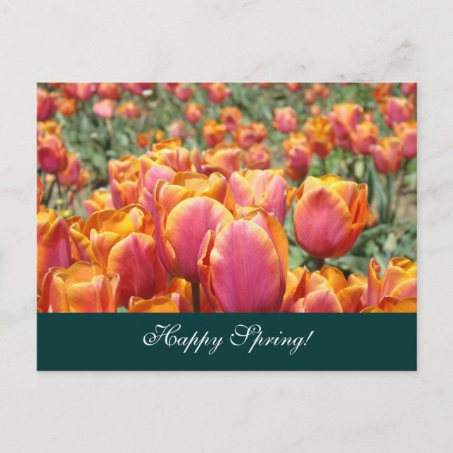 Bonne Printemps! cartes postales Fleur de tulipe c (Devant)