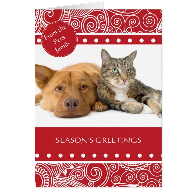 Bonnes Fêtes de la jungle fleurie (Devant)