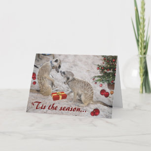 Bonnes Fêtes de Zaphod et de Monkulus - carte