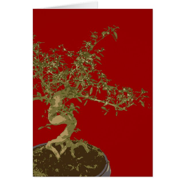 Bonsai (Devant)