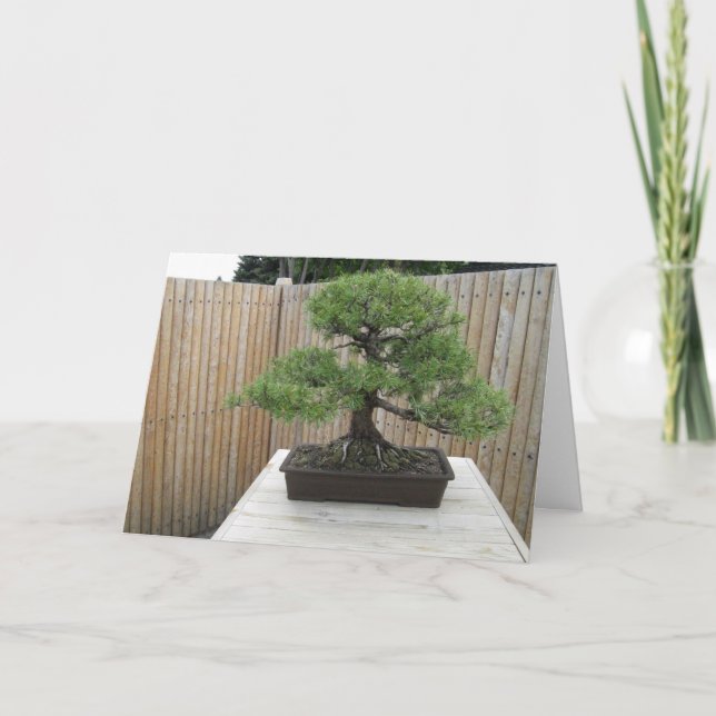 Bonsai Mugo Pine Carte de remerciements (Devant)
