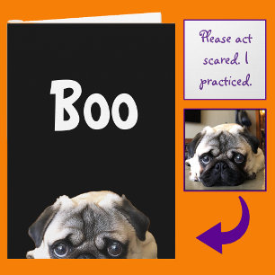 Boo! Carte Halloween de Pug qui regarde