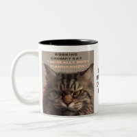 "Booking Grumpy Cat" Grumpy Cat va en prison Mug