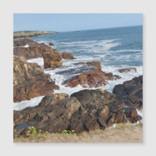 Bord de mer français en Vendée