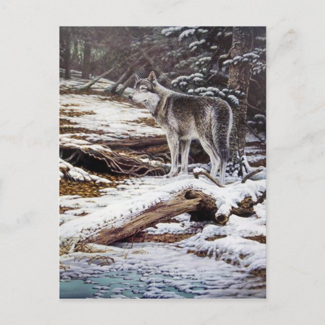 Bord des cartes postales de nuit (Devant)