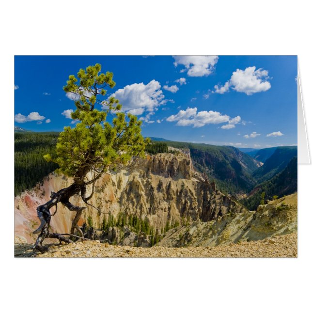 Bord du canyon de Yellowstone (Devant horizontal)