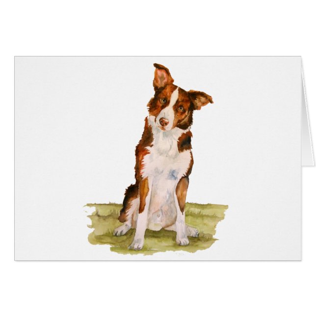 Border collie (Devant horizontal)