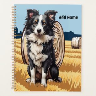 Border Collie à la ferme