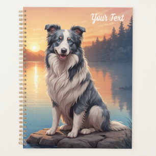 Border Collie Blue Merle au bord d'un lac