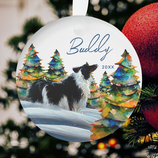 Border Collie dans la forêt enneigée d'hiver arbre (Créateur téléchargé)