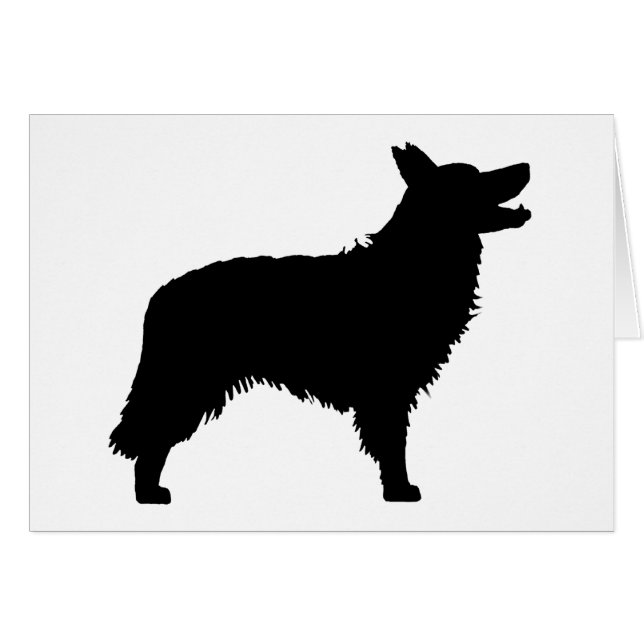 Border collie (noir) (Devant horizontal)