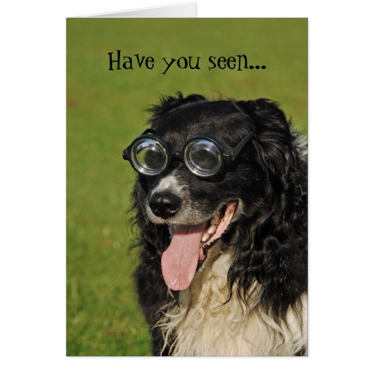 Border collie s'assemblant la carte drôle | Zazzle.fr Border collie s'assemblant la carte drôle | Zazzle.fr