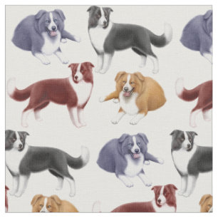 Border collie vivant en troupe le tissu de chiens