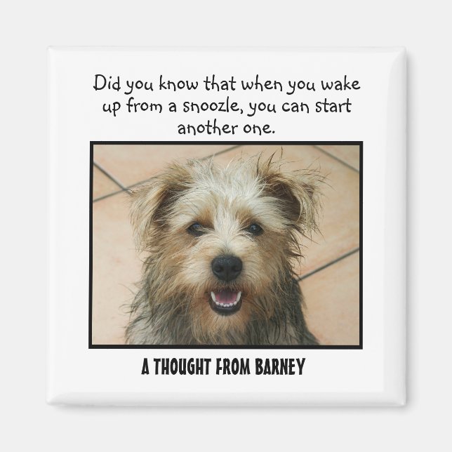 Border Terrier Personalized Custom Magnet (Devant)