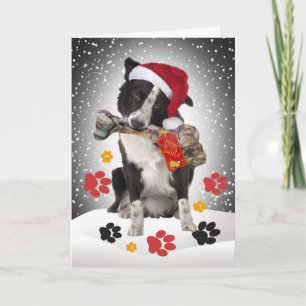 Bordure Cadeau Collie De Père Noël Cartes