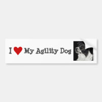 Bordure Collie Bumper Sticker - "Ben" 2
