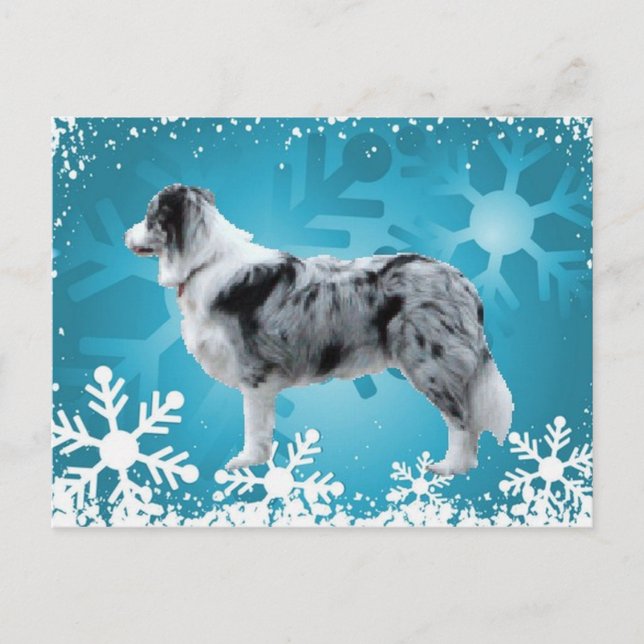 Bordure Collie Carte postale~Noël (Devant)
