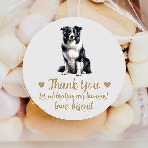 Bordure Collie Chien Mariage Favoriser Stickers