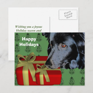 Bordure Collie Chien Noël Carte postale