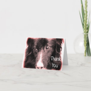 Bordure Collie Face Chien Carte de remerciements d